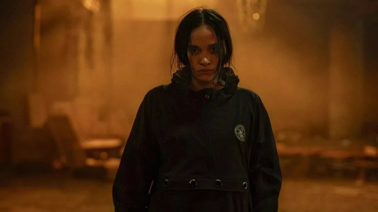 The Best Of Tiff 2024