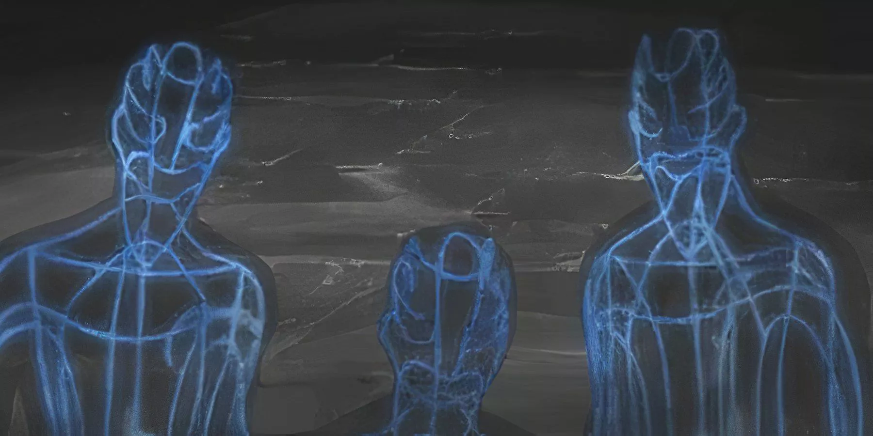 The Chakra Ghost Technique fools Neji's Byakugan in Naruto.