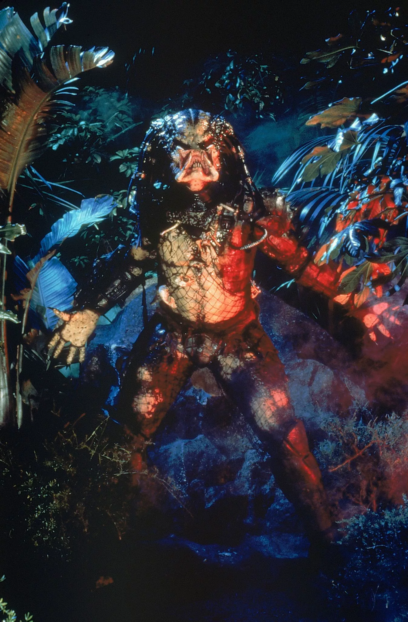 El Depredador sale del bosque listo para atacar.