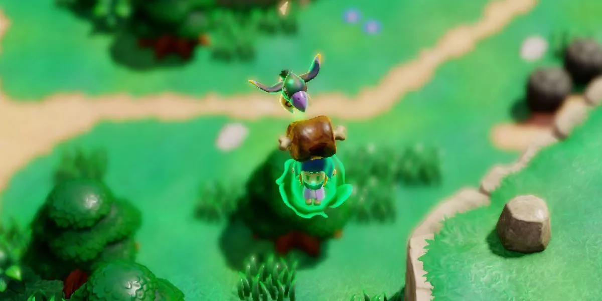 Zelda flying in the air by holding up Meat while Reverse Binded with a Crow that's trying to get to the Meat in The Legend of Zelda Echoes of Wisdom
