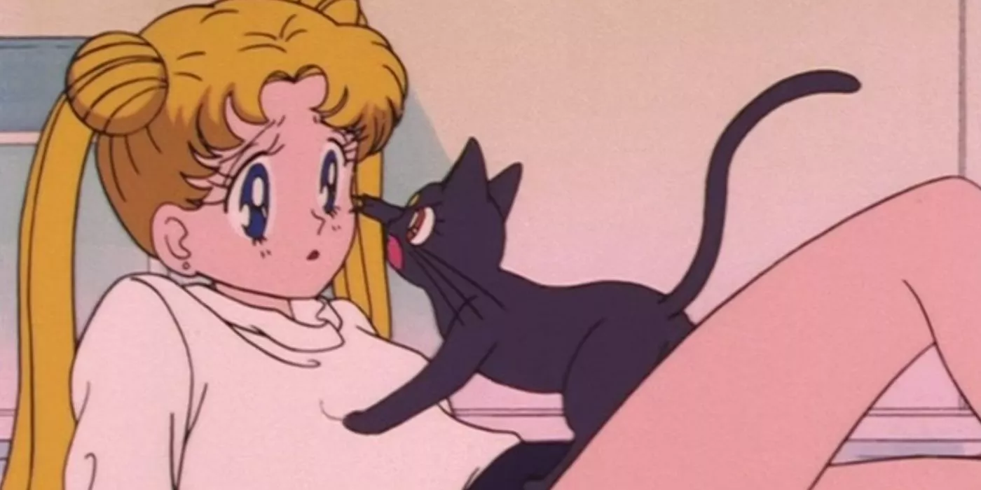 Luna le da una lección a Usagi con un atuendo de gimnasio en Sailor Moon.