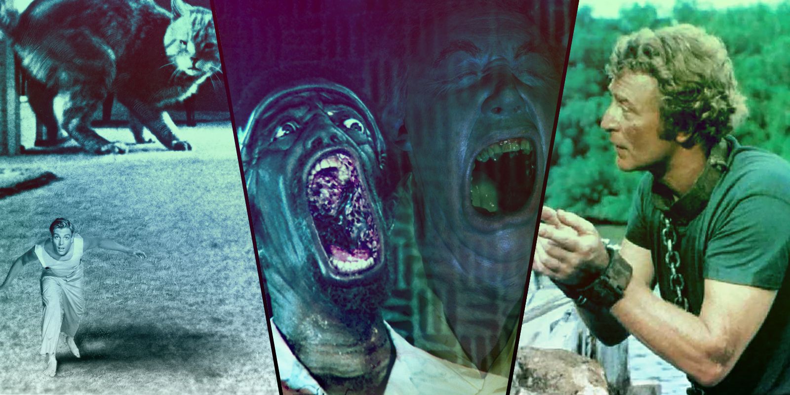 10 Películas B Obscuras que Todo Amante del Cine Debe Ver al Menos una Vez