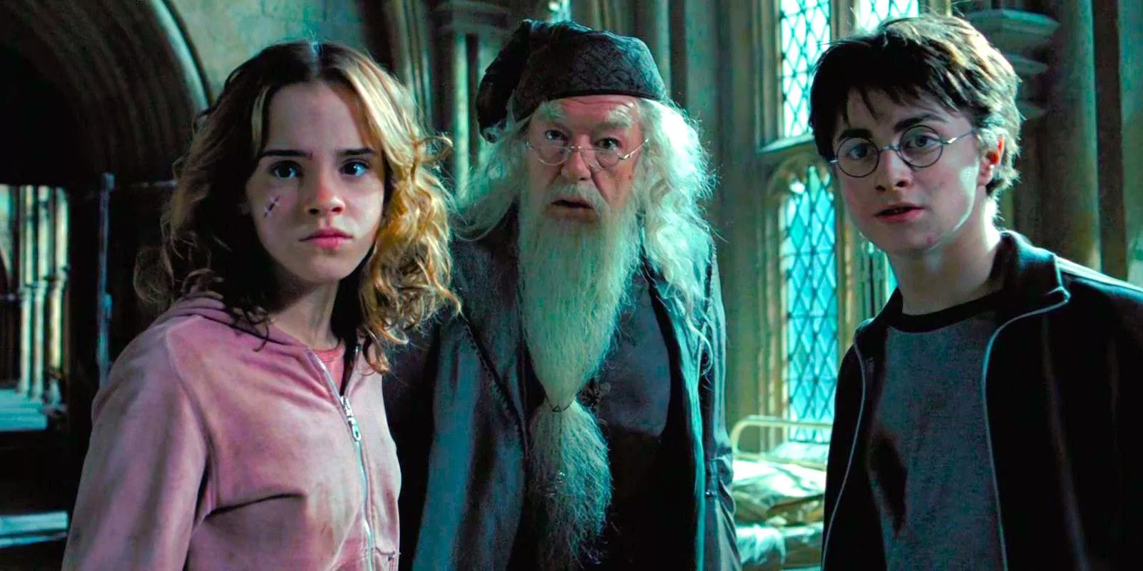 Dumbledore está de pie con Harry y Hermione en el ala del hospital en Harry Potter