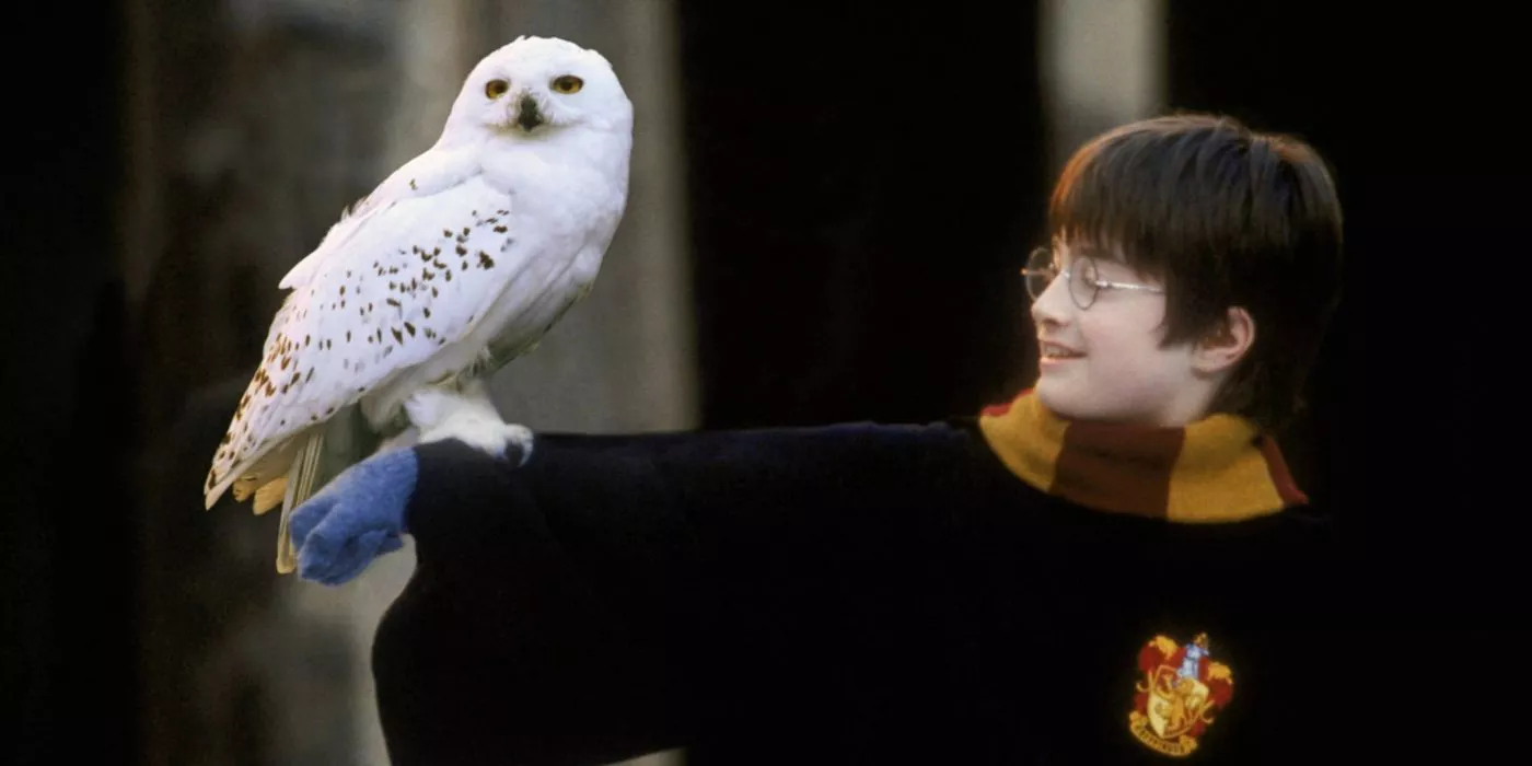 Harry y su búho Hedwig en Harry Potter y la piedra filosofal