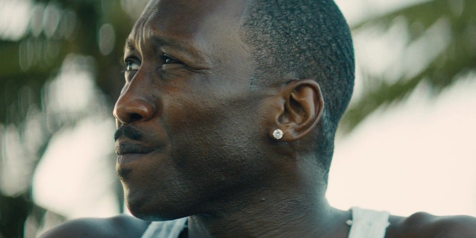 Las 10 Mejores Actuaciones en Películas de A24, Clasificadas