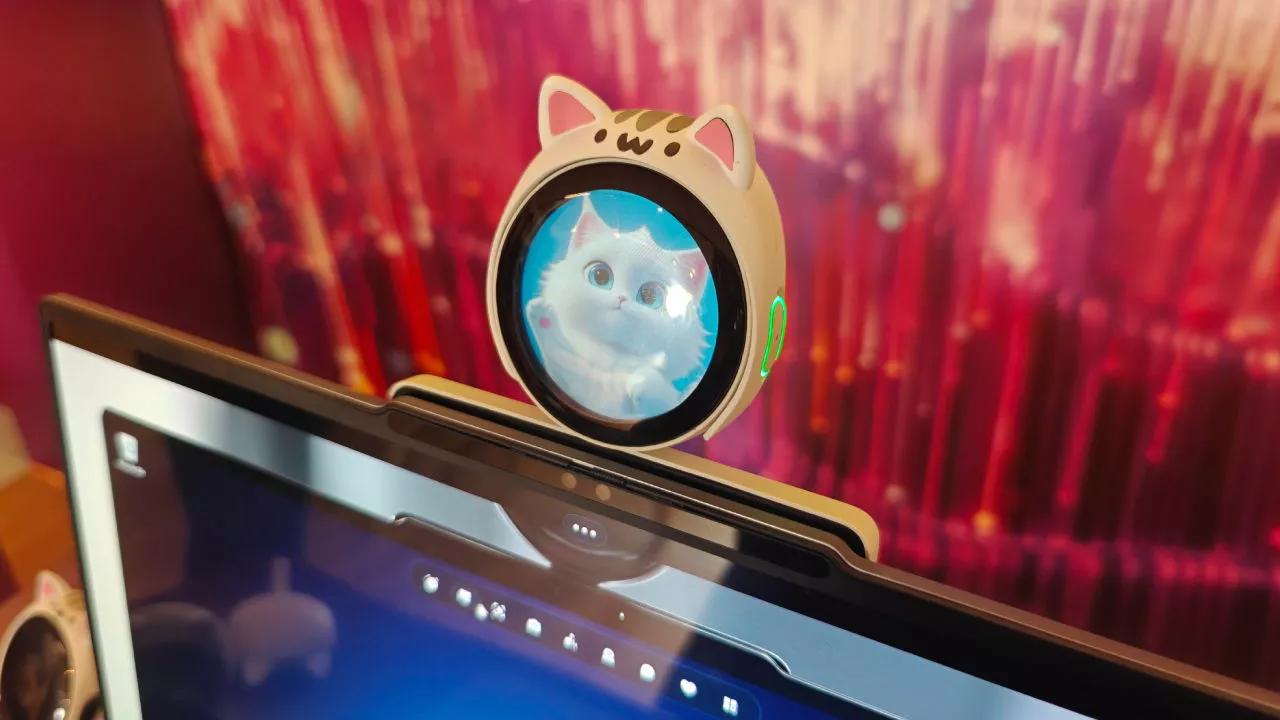 Magic Bay 'c贸digo nombre Tiko'