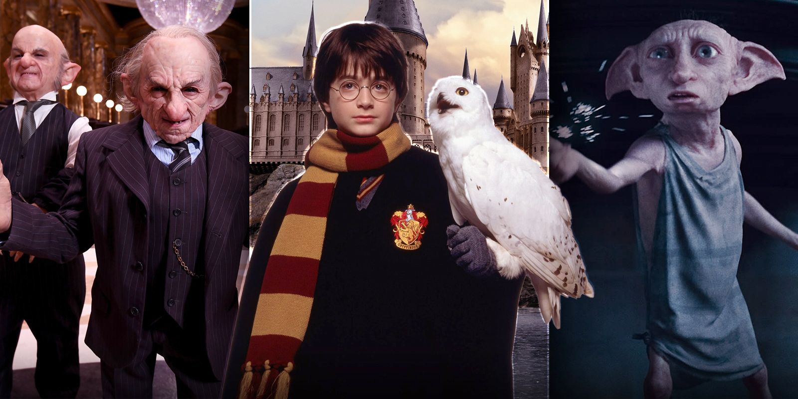 10 Detalles Más Raros en los Libros de Harry Potter