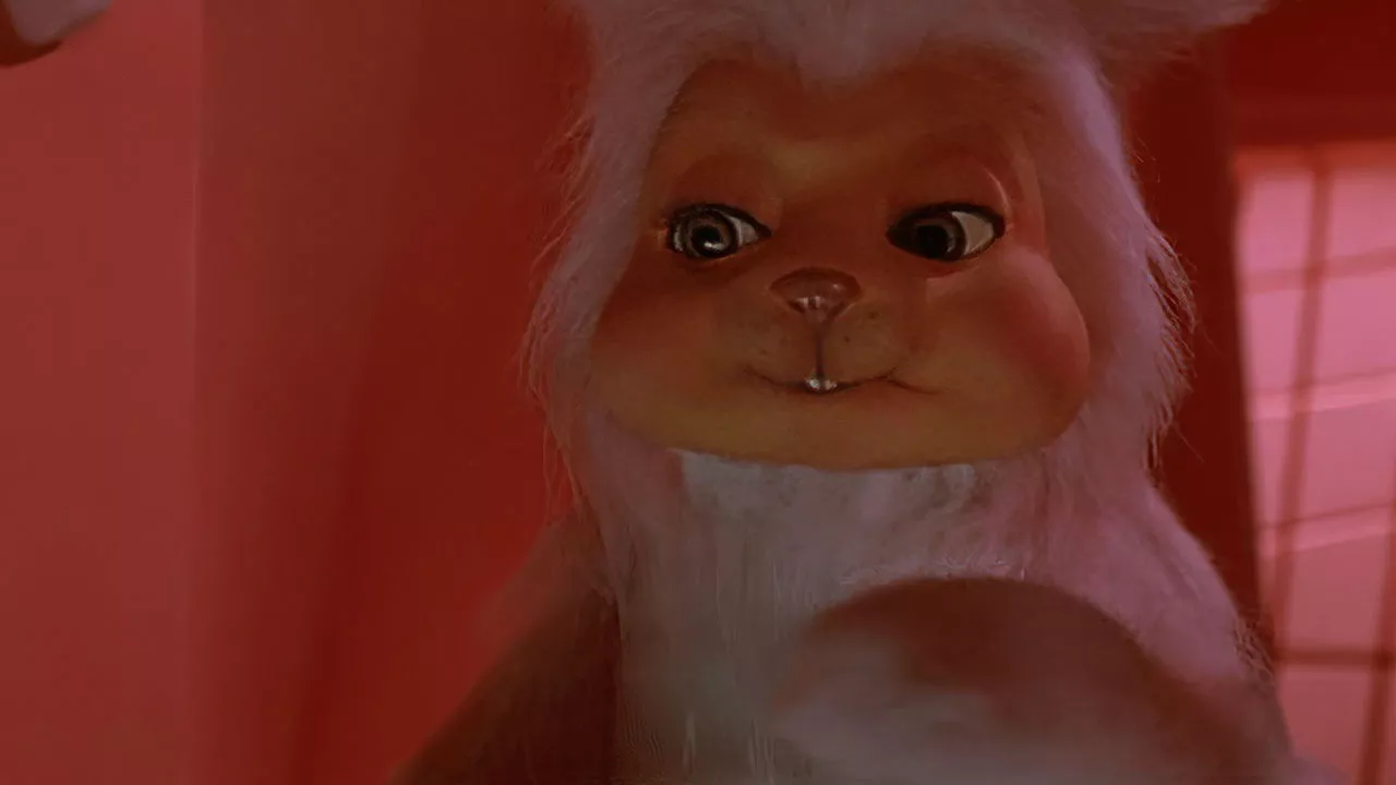 Top 10 Most Frightening Rabbit Horror Movies