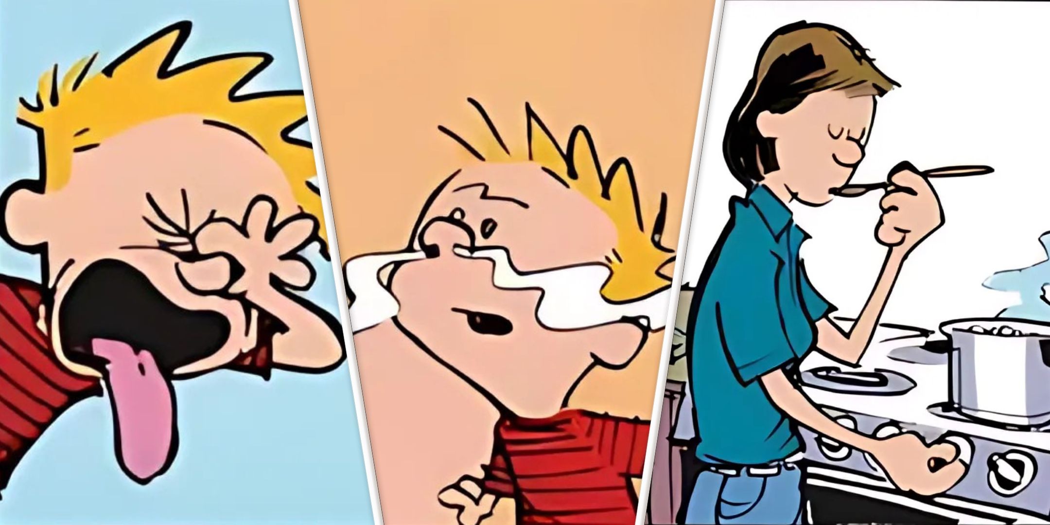 Las 10 Mejores Tiras Cómicas de Calvin y Hobbes en la Mesa, Clasificadas