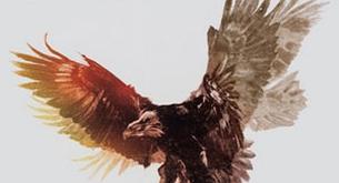 Snow Patrol publica su nuevo álbum de estudio, ‘Fallen Empires’