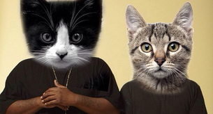 'Meow The Jewels', el remix de Run The Jewels con gatos